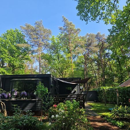 Heerlijk Huisje In Het Bos Op Chaletpark Kempenbos Diessen Εξωτερικό φωτογραφία