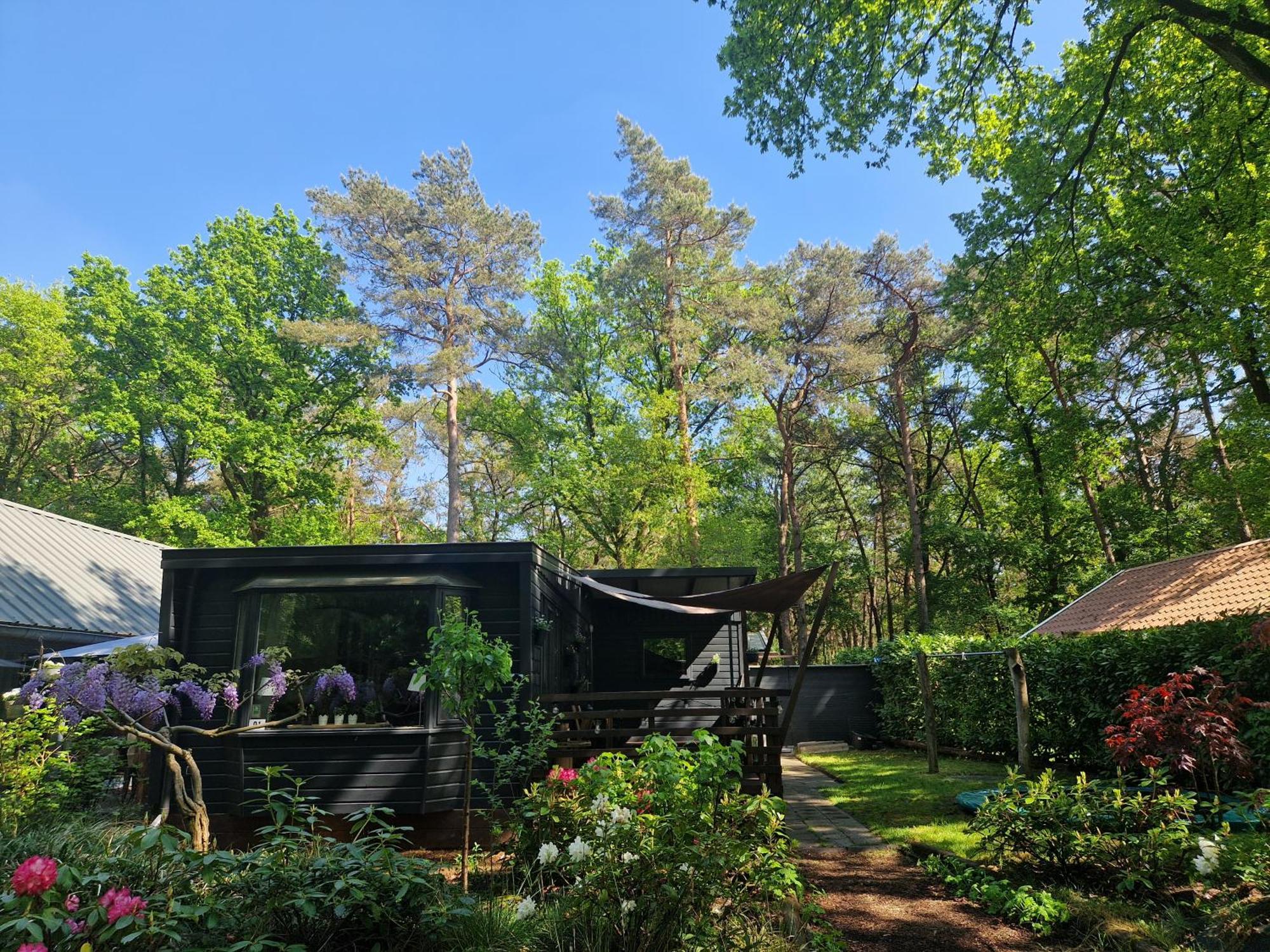 Heerlijk Huisje In Het Bos Op Chaletpark Kempenbos Diessen Εξωτερικό φωτογραφία