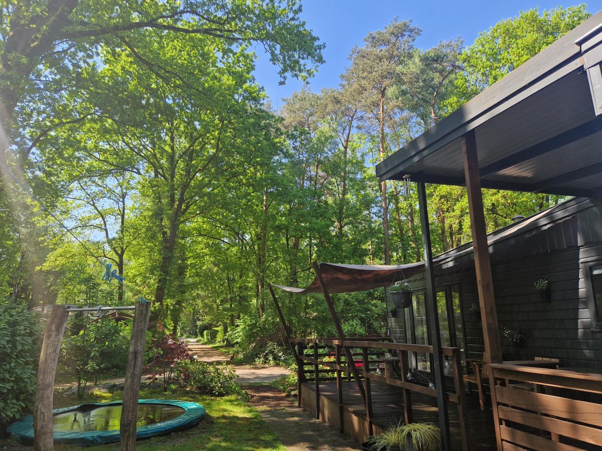 Heerlijk Huisje In Het Bos Op Chaletpark Kempenbos Diessen Εξωτερικό φωτογραφία
